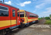 Thermalcamping Füzesgyarmat景点图片