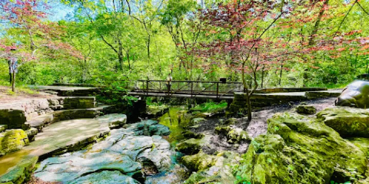 Compton Gardens and Arboretum