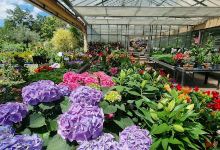 Goutaudier Jardinerie购物图片