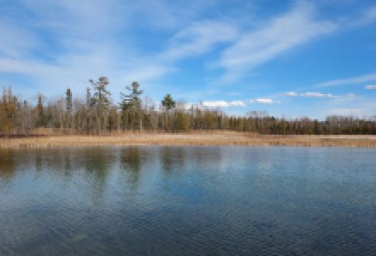 Inland Waterway Nature Preserve景点图片