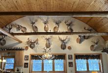 Wild Rivers Whitetails Hunting景点图片
