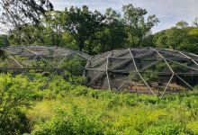 多摩动物公园景点图片