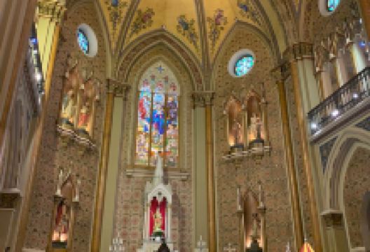 Metropolitan Cathedral景点图片