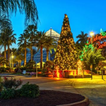 加尔维斯顿县图片