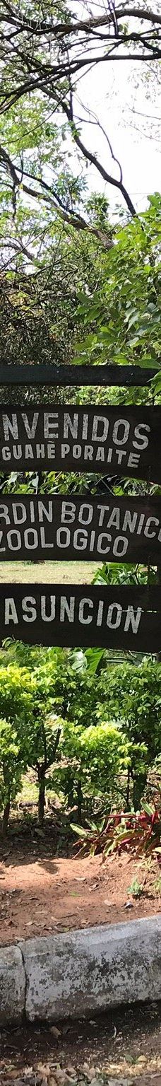 Botanical Garden of Asunción-亚松森
