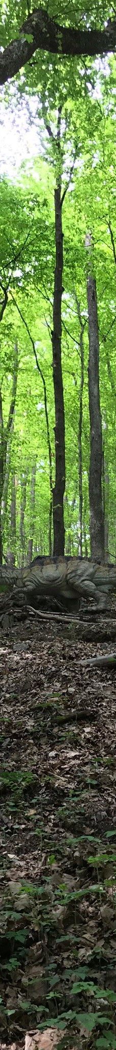 Zoo Kosice-科希策1区