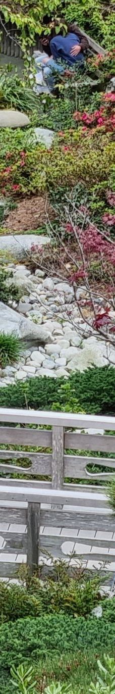 Japanese Friendship Garden & Museum-圣地亚哥