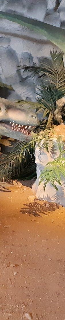 Musee des Dinosaures 'Dinosauria'-埃斯佩拉扎