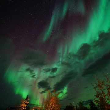 温哥华+耶洛奈夫+多伦多9日8晚私家团