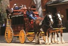 Billabong Ranch景点图片