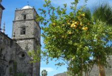 San Ignacio Lagoon景点图片