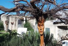 Ein Hod Artists Village景点图片