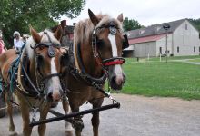 Landis Valley Museum景点图片