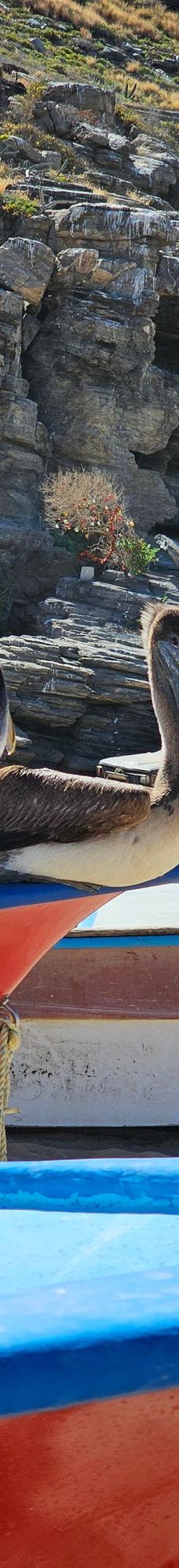 Punta Lobos-拉巴斯