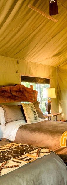 Safari West-圣罗莎