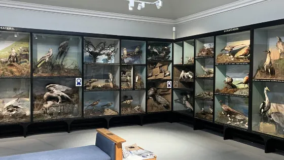 Tolson Museum Huddersfield