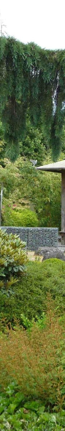 The Gardens of Appeltern-阿珀尔特伦