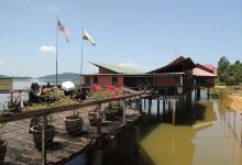 Bukit Merah Orang Utan Island Foundation景点图片