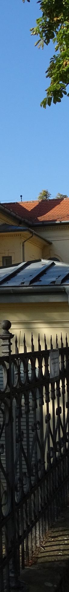 瓦萨里画廊-巴拉顿菲赖德