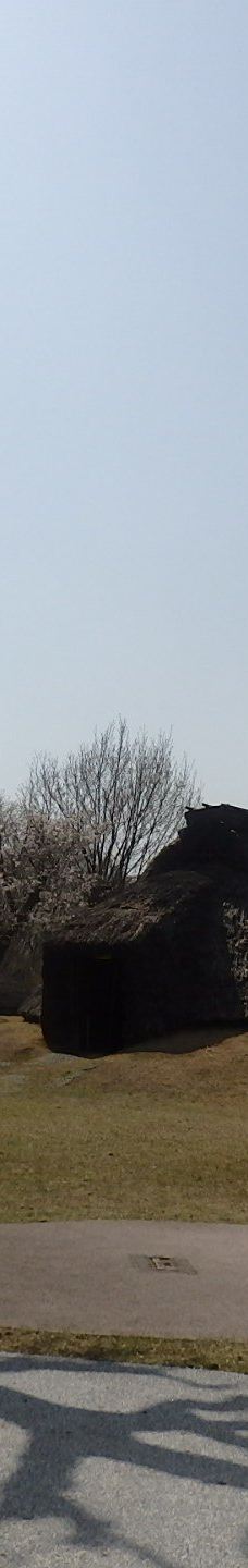 本町田遗迹公园-町田市