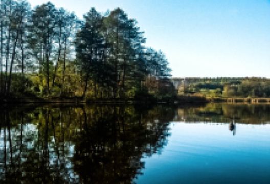 Naturfreibad Zellersee景点图片