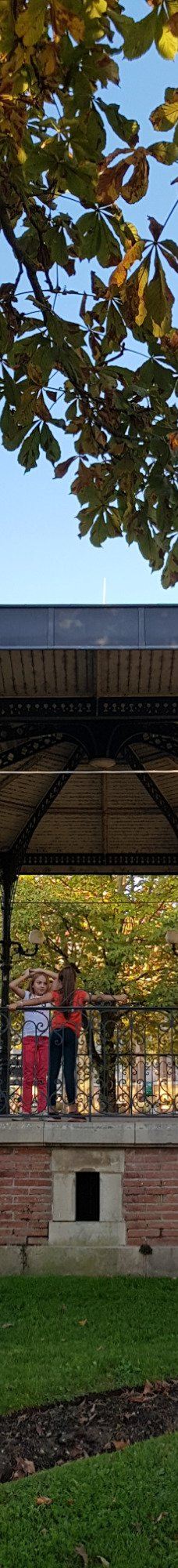 Le Jardin National-阿尔比