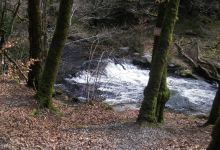 Cascades des jarrauds景点图片