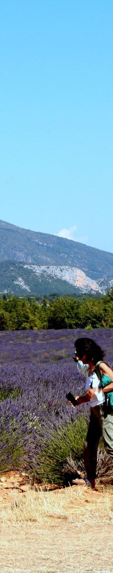 瓦朗索尔高原-瓦朗索勒