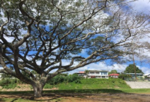 Hamakua Coast景点图片