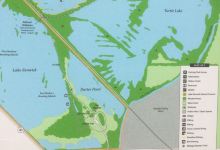 Lake Renwick Heron Rookery Nature Preserve景点图片