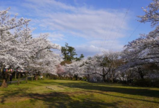 一本松公园景点图片