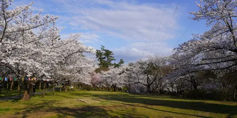一本松公園