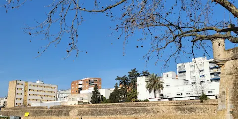 Galeria de Fusileros