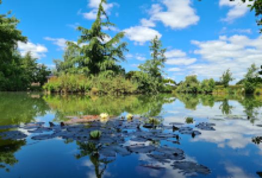 York Caravan Park & Storage景点图片