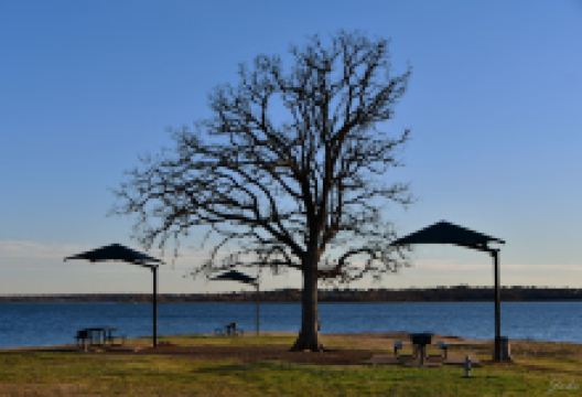 Murrell Park景点图片