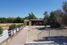 Olive museum Anglision景点图片