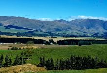 Lake Tekapo Lookout景点图片