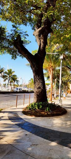 Bougainville Park-帕皮提