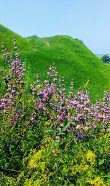 Bilivsʹke Horodyshche-罗夫诺区