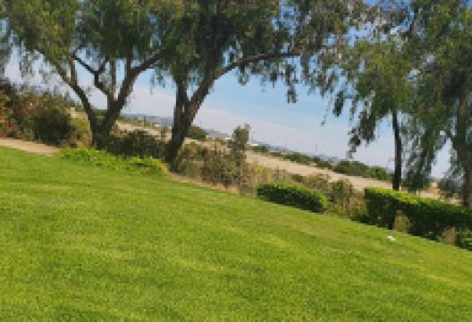 Veterans Memorial Thorsen Park景点图片