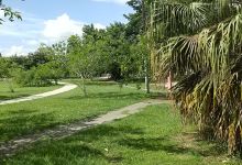 Parque Aponte景点图片