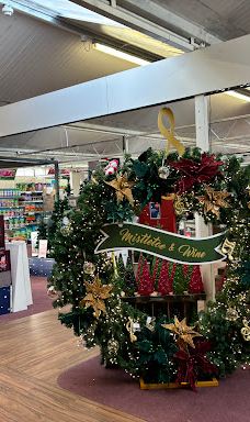 Mayfield Garden Centre-凯尔索