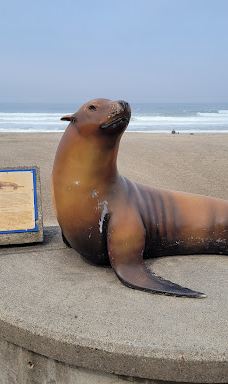 Public Beach Access 35th Street-林肯城