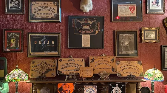 Bearded Lady’s Mystic Museum