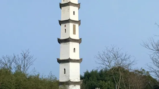 浮杯塔