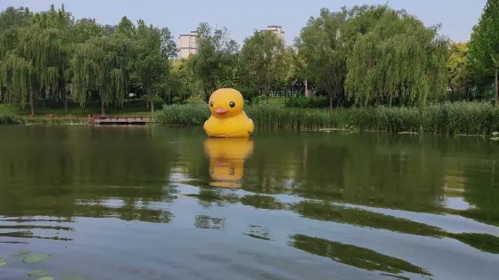 索瀘河·南湖公園