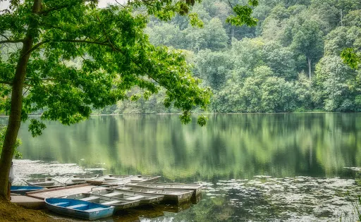 Wampus Pond