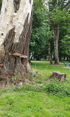 Kemp Olson Memorial Park Campground RV Park-托莱多