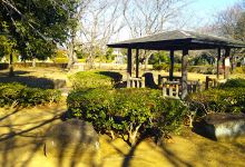 杉戸西近隣公園景点图片