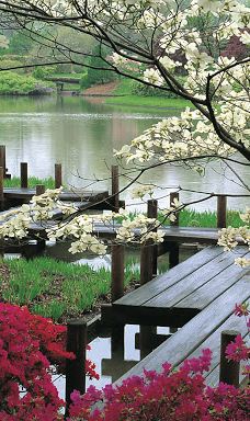 Javan Park-伊斯法罕